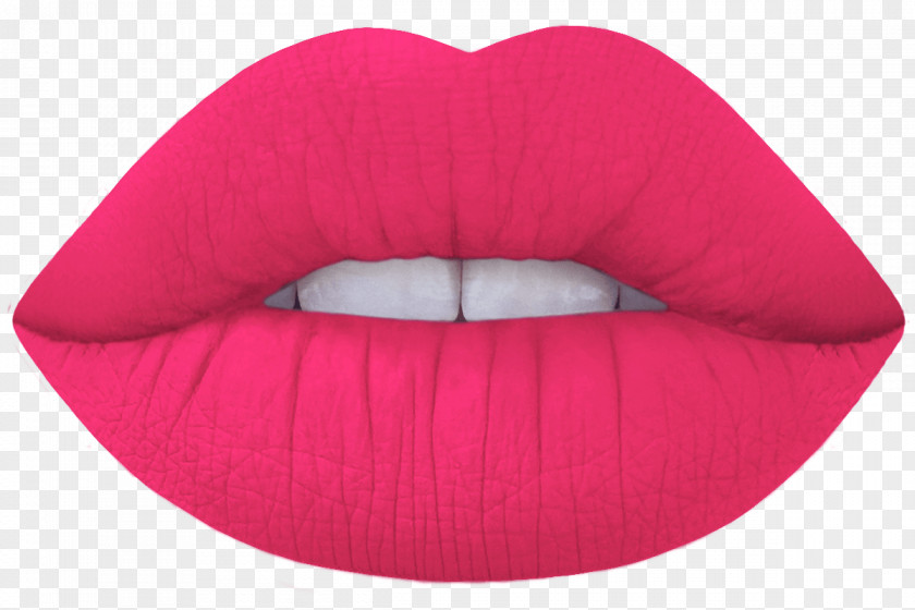 Lipstick Lime Crime Velvetines Lip Stain Gloss PNG