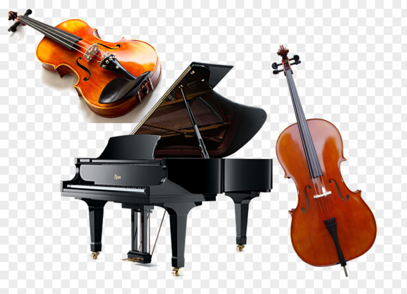 Piano Cello Violin Steinway & Sons ボストンピアノ PNG