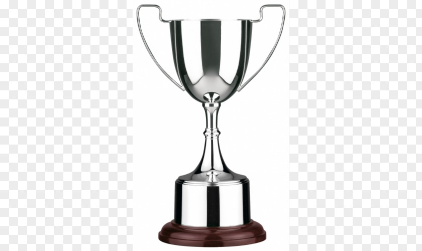 Silver Trophy Award Cup Clip Art PNG