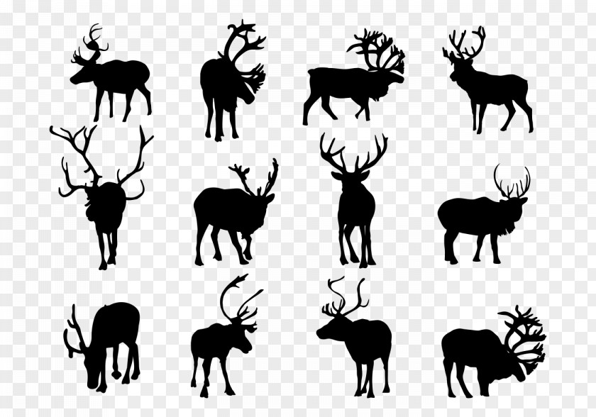 Tropical Rainforest Exposed Animal Avatar Reindeer Silhouette Clip Art PNG