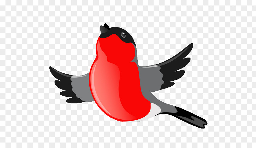 Bird Drawing Beak Clip Art PNG