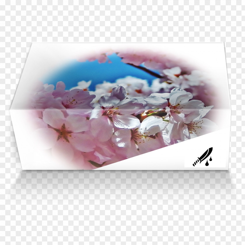 Flower Petal Blossom Floral Design Lilac PNG
