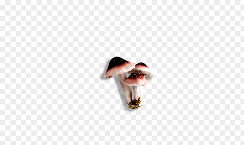 Mushroom Mouth PNG