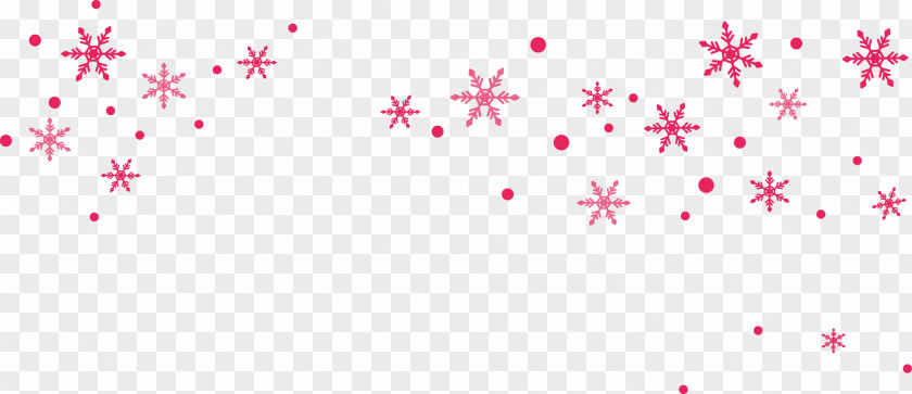 Snowflake Snow Icon PNG