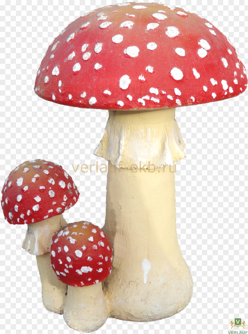 мухомор Amanita Fungus Telegram Mushroom PNG