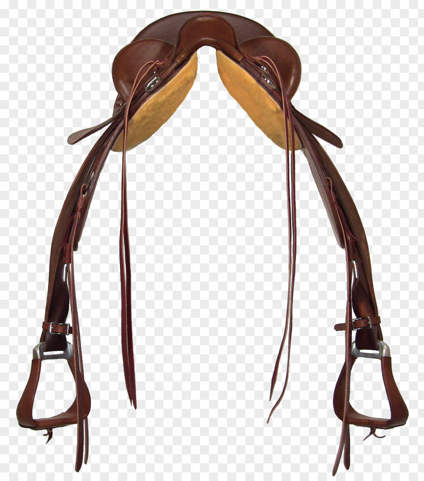 Horse Tack Bridle English Saddle PNG
