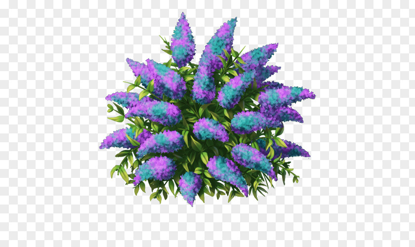 Time Plant Cut Flowers Floral Design Lavender Lilac PNG