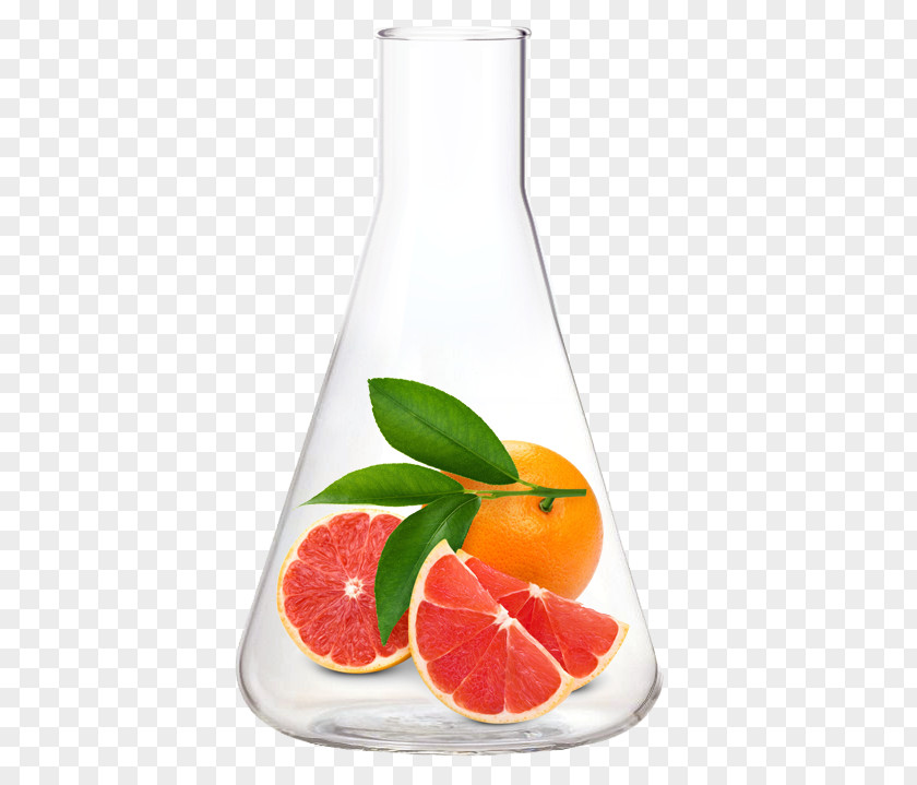Citrus Fruits Grapefruit Juice Pomelo Orange PNG