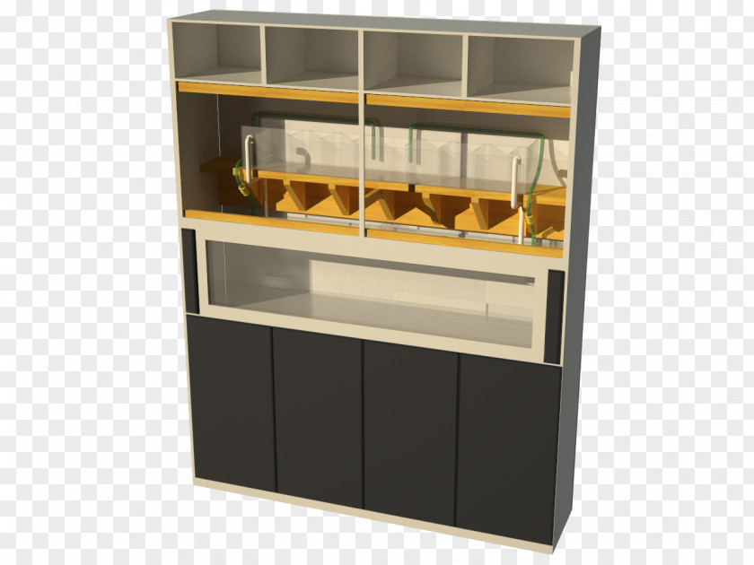 Design Shelf Cabinetry Aquarium Display Case PNG