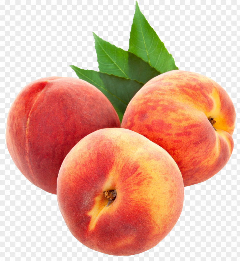 Large Peaches Clipart Peach Clip Art PNG