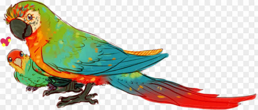 Macaw Parakeet Bird Loriini Feather PNG