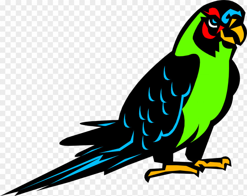 Parrot Bird Parakeet Crane Clip Art PNG