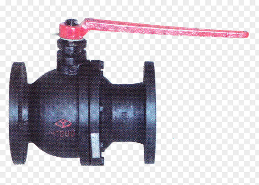 Bich Check Valve Steel Cast Iron Gray PNG