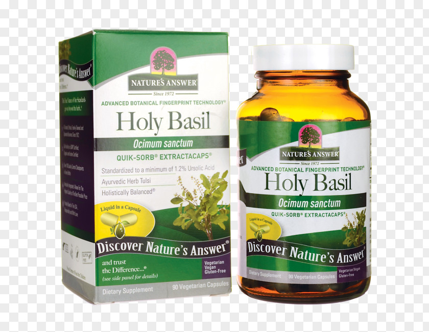 Holy Basil Dietary Supplement Herb Vegetarian Cuisine Perforate St John's-wort Capsule PNG