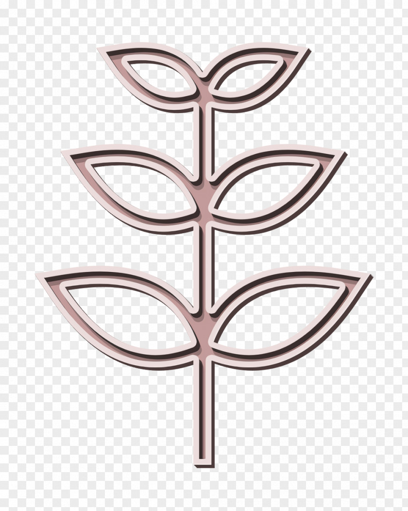 Leaf Icon Rowan Flowers And Leaves PNG