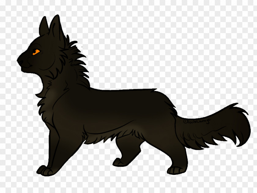Mink Schipperke Whiskers Dog Breed Snout PNG