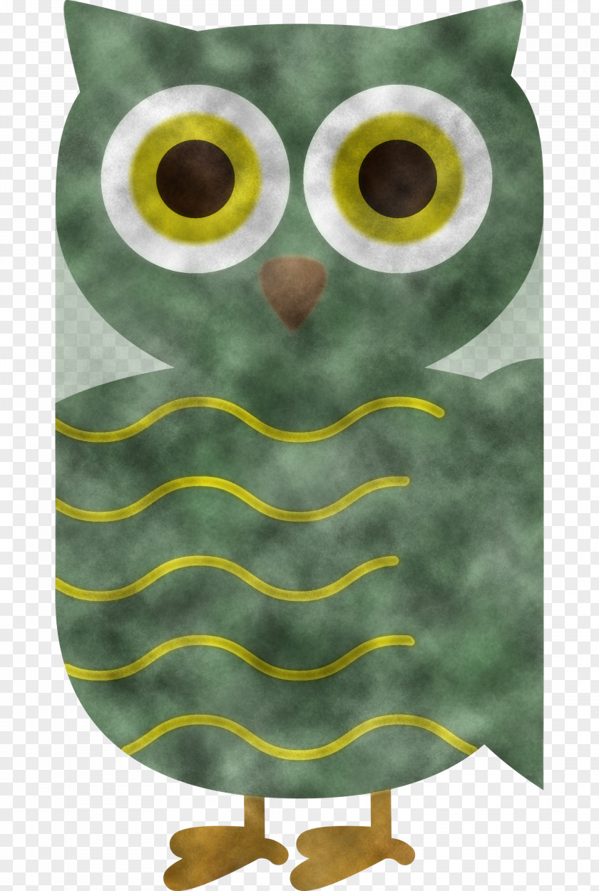 Owls Beak Tawny Owl Birds Bird Of Prey PNG
