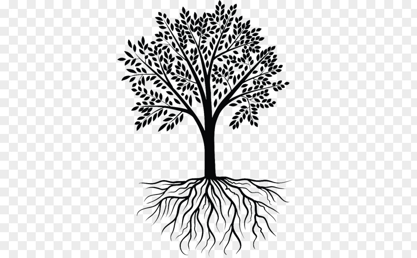 Roots Clipart Tree Clip Art PNG