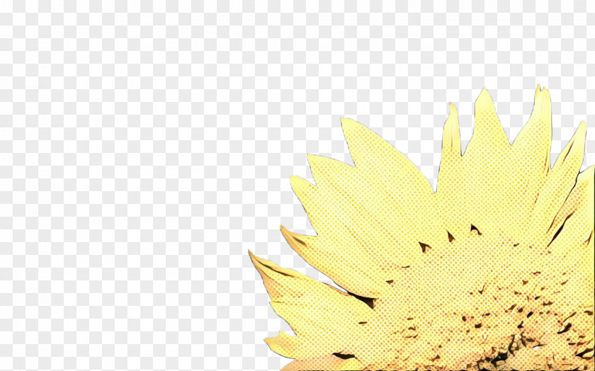 Sunflower Petal Cartoon PNG