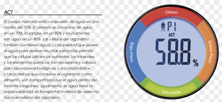 Water Body Hydration Reaction Percentage PNG