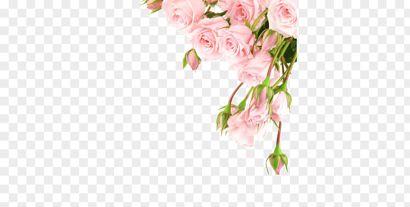 A Few Flowers PNG few flowers clipart PNG