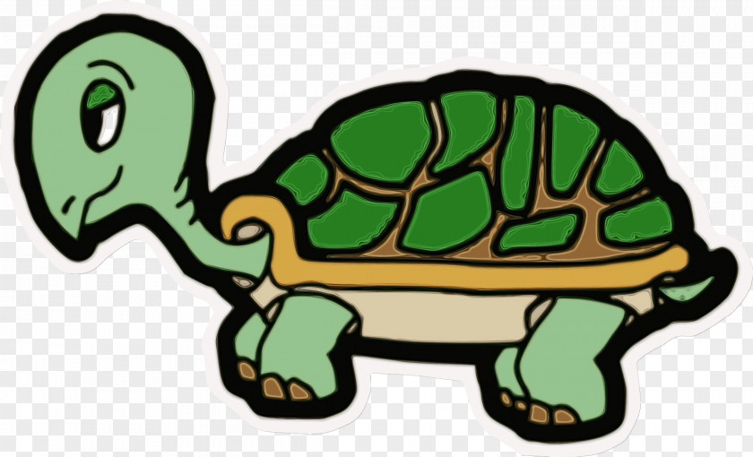 Animal Figure Terrapin Tortoise Turtle Pond Green Reptile PNG