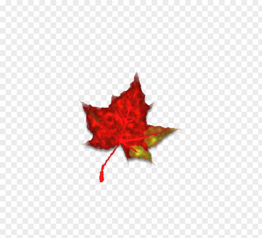 Autumn Maple Leaf Japanese Color Red PNG