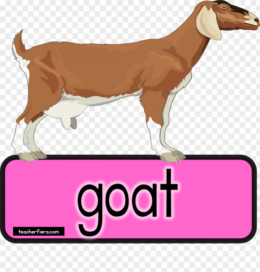 Domestic Animals Goat Health Cattle Dog Breed Milk PNG