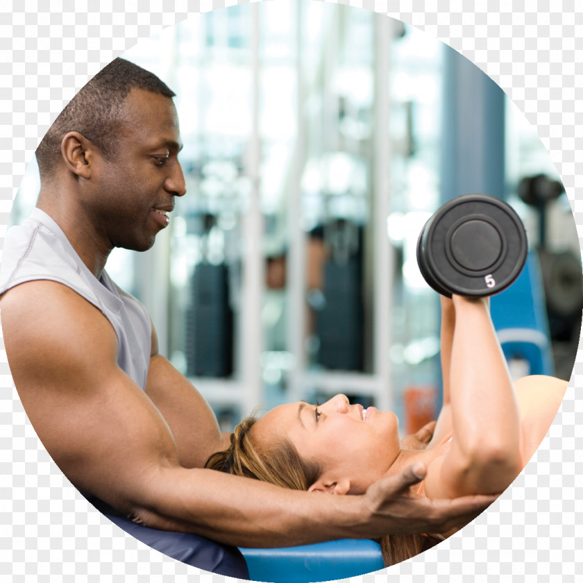 Pay Day Weight Training Bench Press Personal Trainer Fitness Centre PNG