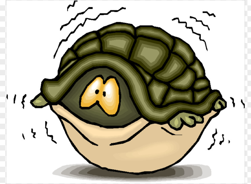 Scared People Pictures Turtle Shell Sea Clip Art PNG