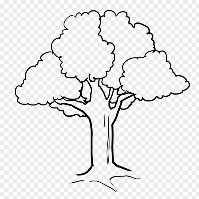 Tree Coloring Book Drawing PNG