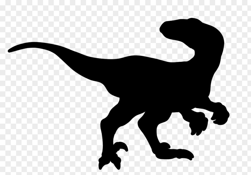 Velociraptor Tyrannosaurus Clip Art Line Silhouette PNG