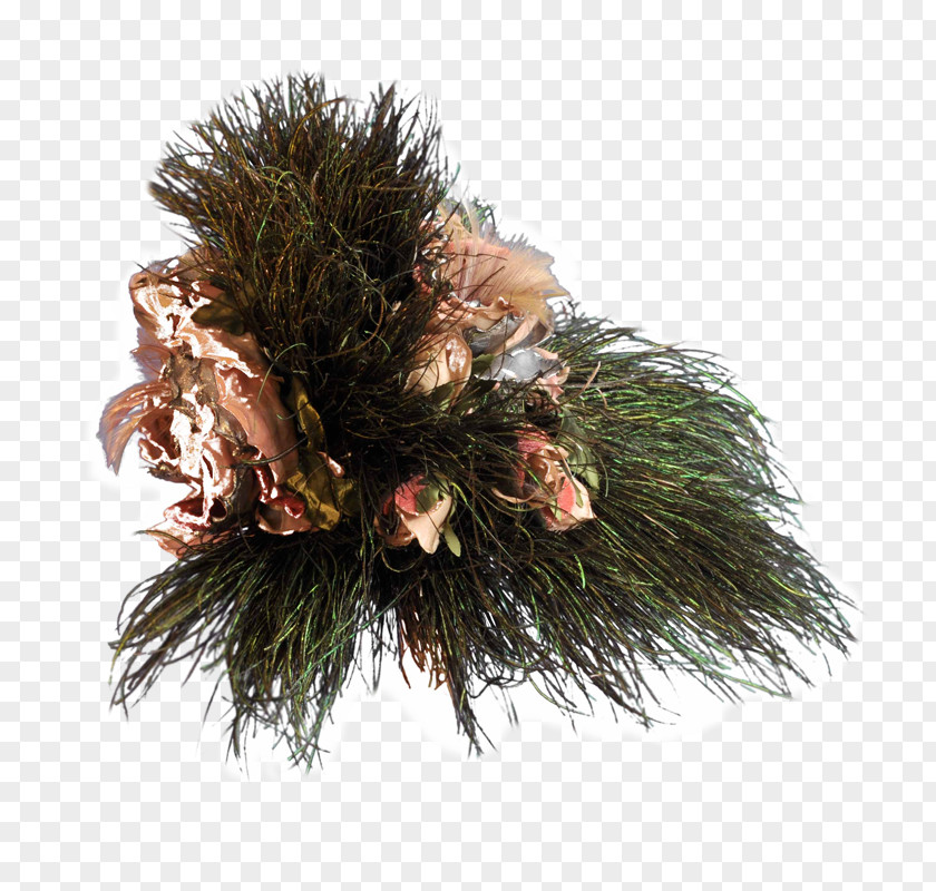 Wedding Headdress Pine Christmas Ornament Spruce Fir PNG