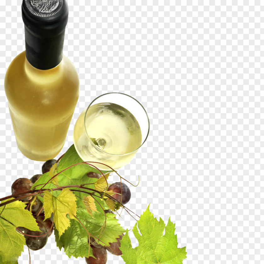 White Wine Red Common Grape Vine PNG