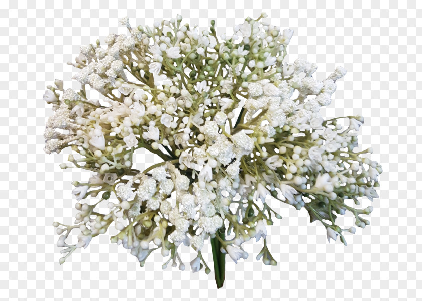 Baby Breath Flower Bouquet Baby's-breath Cut Flowers PNG