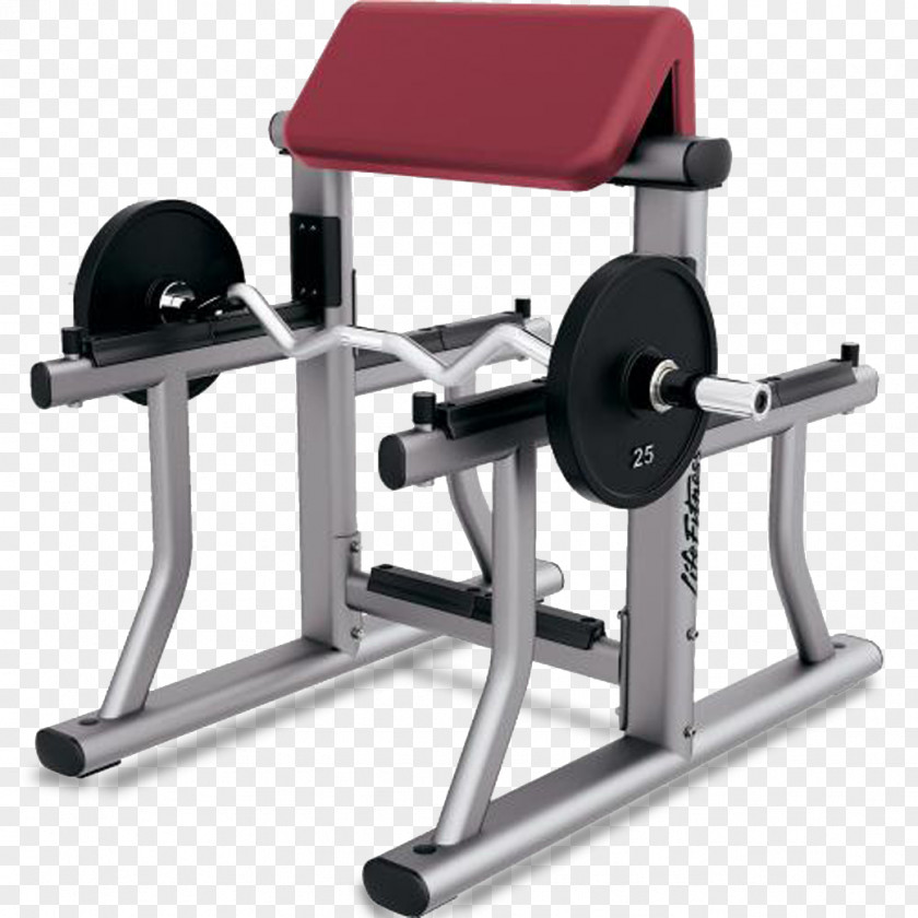 Barbell Bench Biceps Curl Weight Training Exercise Fitness Centre PNG