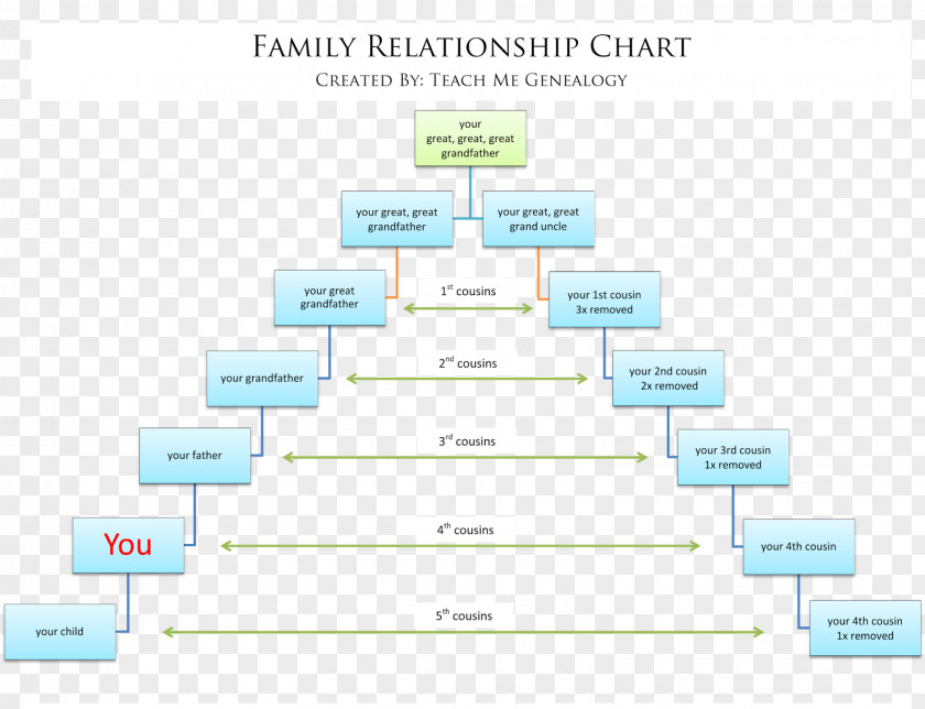 Family Tree Genealogy Cousin Chart PNG