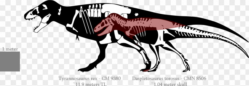 Jurassic World Evolution Allosaurus Tyrannosaurus Nanotyrannus Giganotosaurus Spinosaurus Triceratops PNG