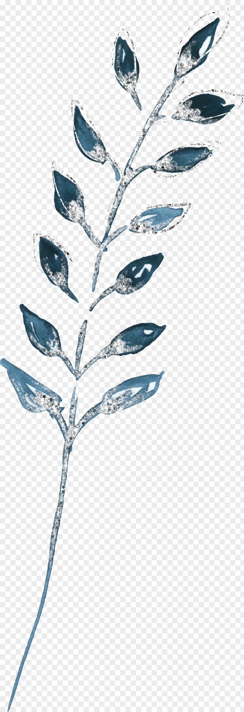 Perennial Plant Tree Black And White Flower PNG