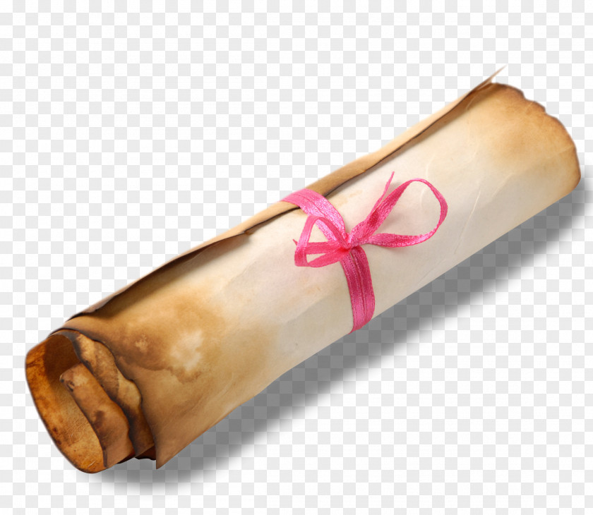 Ribbons And Rolls Paper Parchment Scroll Manuscript Quill PNG