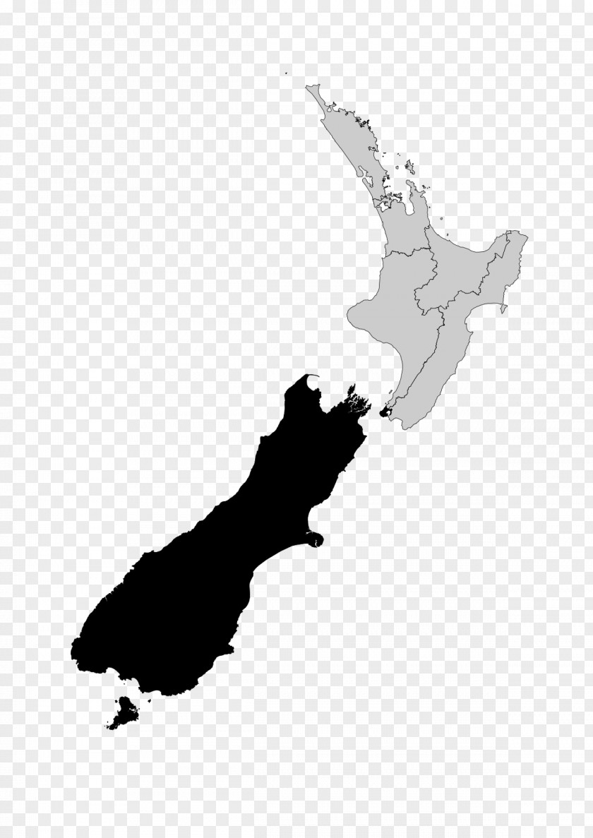 Seventy-one Mount Ruapehu Vector Map Lower Hutt PNG