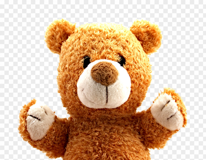 Teddy Bear PNG bear, Bear, brown bear plush toy clipart PNG