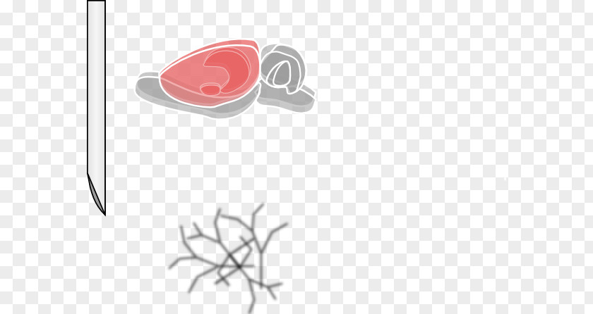 BRAIN VECTOR Laboratory Rat Human Brain Black Clip Art PNG