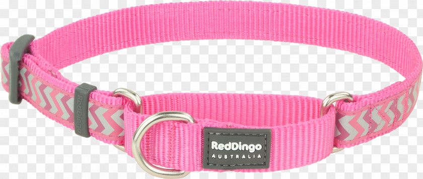 Red Collar Dog Dingo Canaan Norwegian Lundehund Martingale PNG