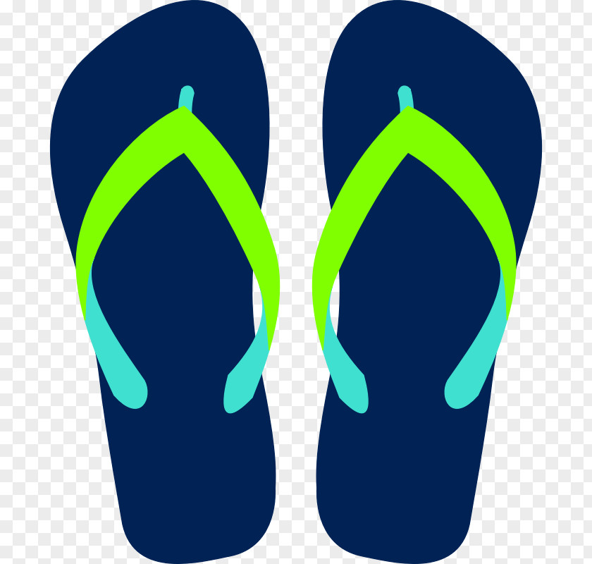 Sandal Flip-flops Havaianas Clip Art PNG
