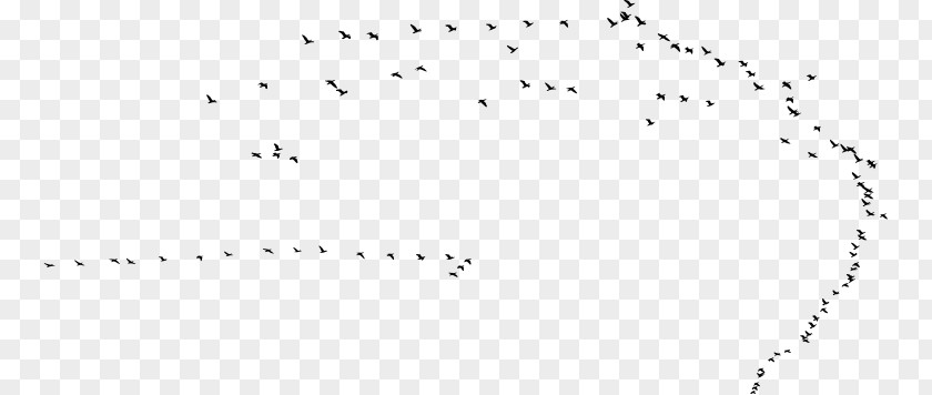 Silhouette Birds Bird Migration Swarm Behaviour Beak PNG