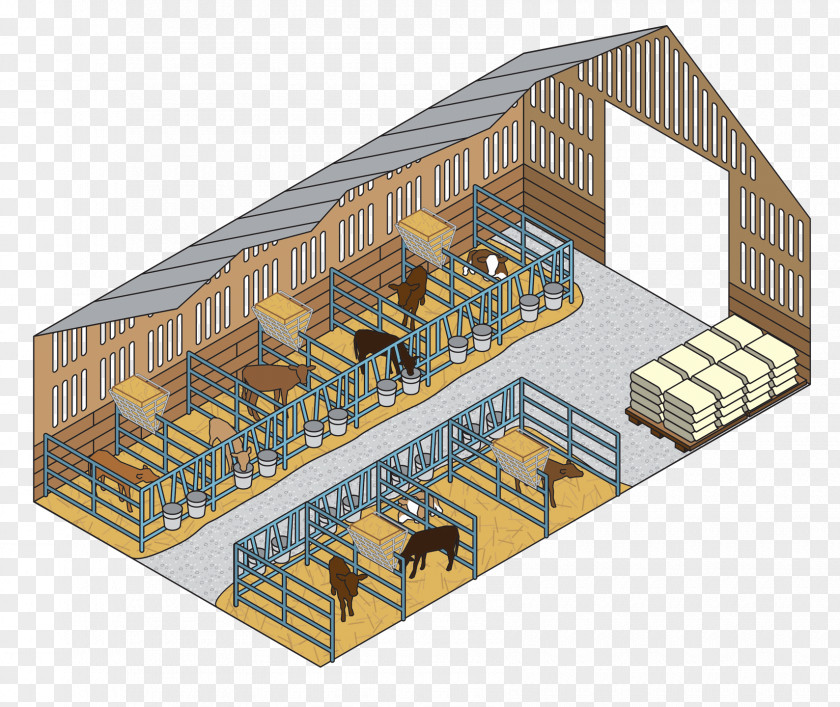 Building Cow-calf Operation Ice Calving Dairy Cattle PNG
