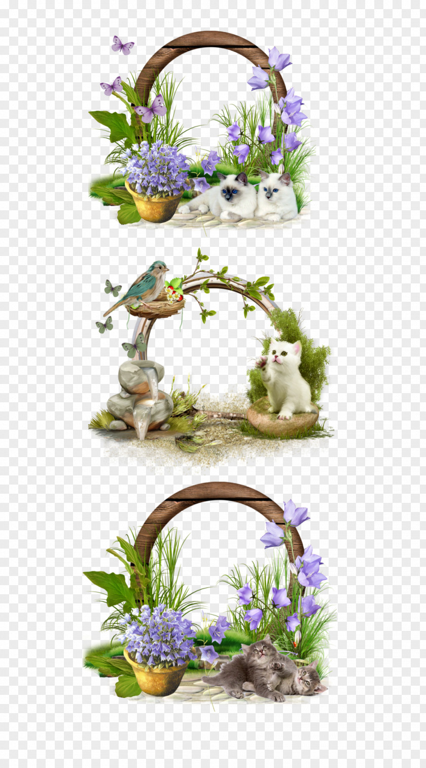 Color Cat Picture Frames Computer Cluster Floral Design Clip Art PNG