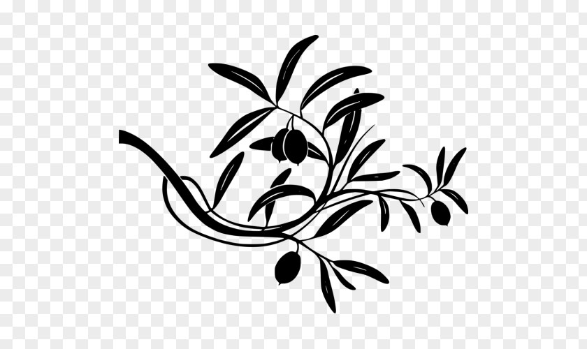 Olive Branch Wall Decal Sticker Tree PNG