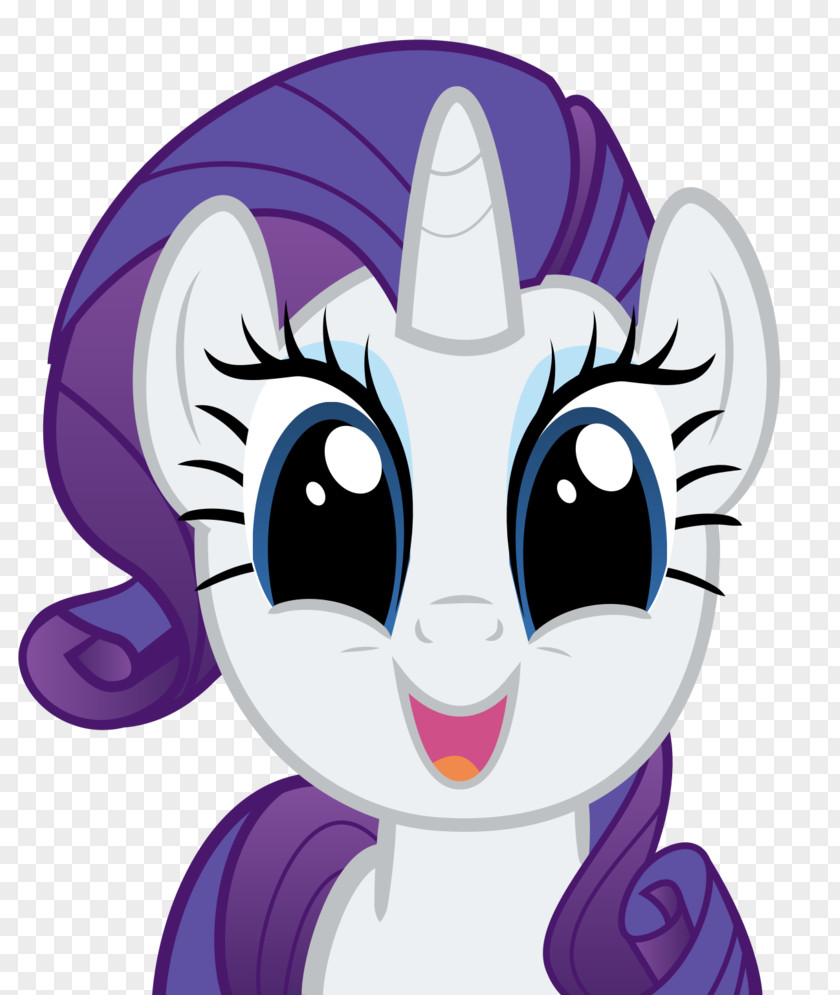 Rarity Mlp Pony Twilight Sparkle Equestria Canterlot PNG